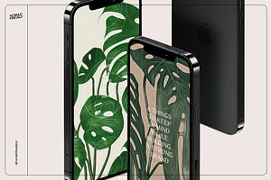 Monstera Tropical Collection