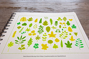 Vector leaves. Nature elements., an Illustration by kostolom3ooo (Thumbnail 2 of 5)