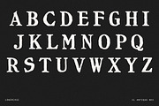 Antique Block Print Font, a Serif Font by Century Library (Thumbnail 4 of 5)