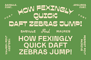 Barnule & Mauren - Western Font Duo, a Sans Serif Font by Zarma Type (Thumbnail 2 of 13)