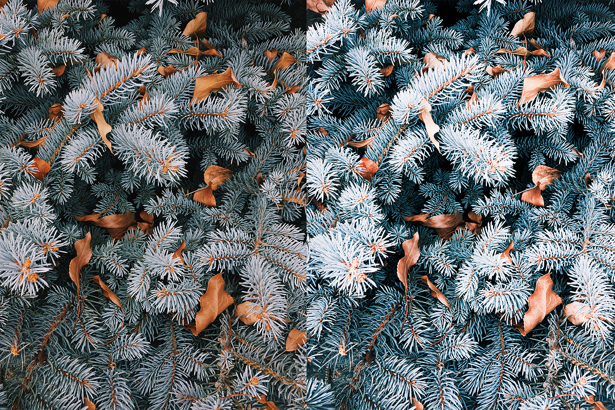 4 Winter Lightroom Presets, a Preset Add-On by AnagramDesign (Photo 7 of 7)