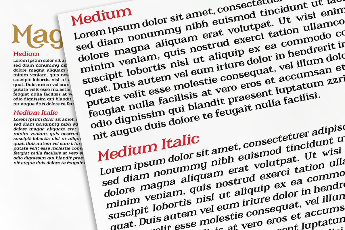 Cerberus - Serif font family, a Serif Font by Artistic & Unique (Photo 15 of 15)