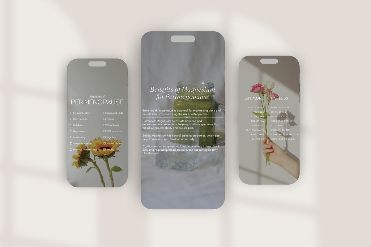 Menopause Template Bundle, a Social Media Template by Naturopath Hub (Photo 3 of 10)