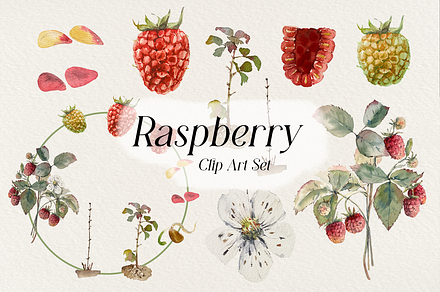 Raspberry Life Cycle Set