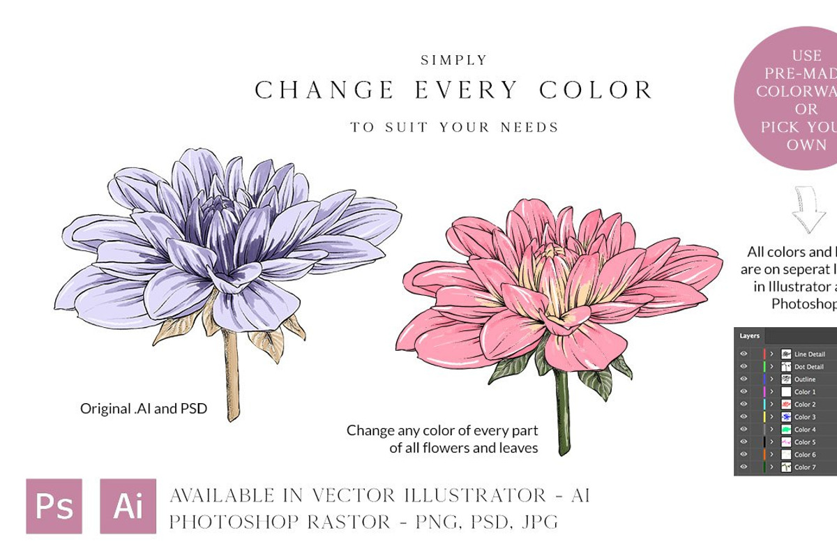 Beautiful Botanical Illustrations, an Object Graphic by Pretty Little Lines (Photo 17 of 18)