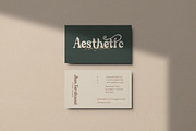 Cherly Blossom Modern Chic Serif, a Serif Font by Creatype Studio (Thumbnail 5 of 9)