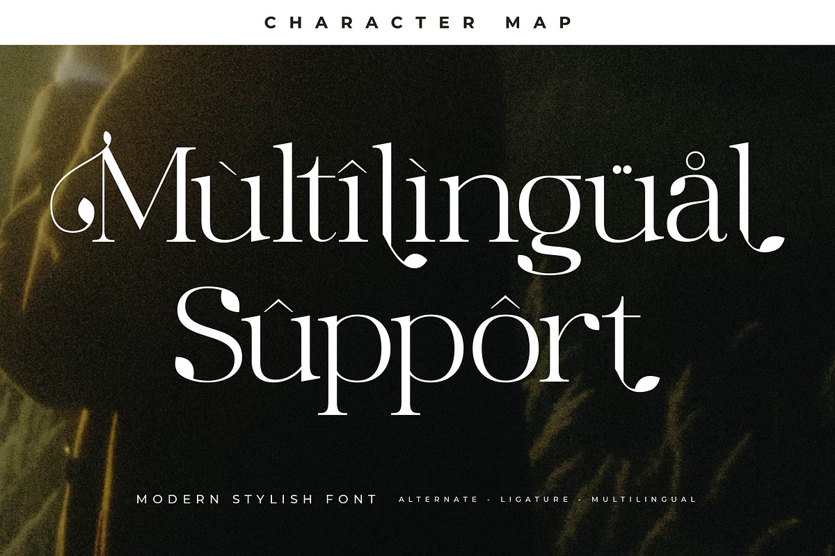Maiken Modern Stylish Font, a Serif Font by Letterena Studios (Photo 12 of 15)