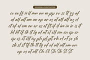 Wystine Esphelta Modern Brush Font, a Script Font by Letterena Studios Script (Thumbnail 19 of 20)