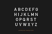 Whiskey Ranger -Vintage Font Family, a Serif Font by Creative Type (Thumbnail 3 of 5)