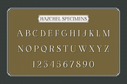Hazchel, a Serif Font by Amera Type (Thumbnail 8 of 11)