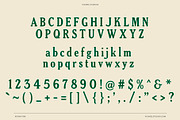 Day Fog – Hand drawn Vintage Serif, a Serif Font by Vicarel Studios (Thumbnail 3 of 12)