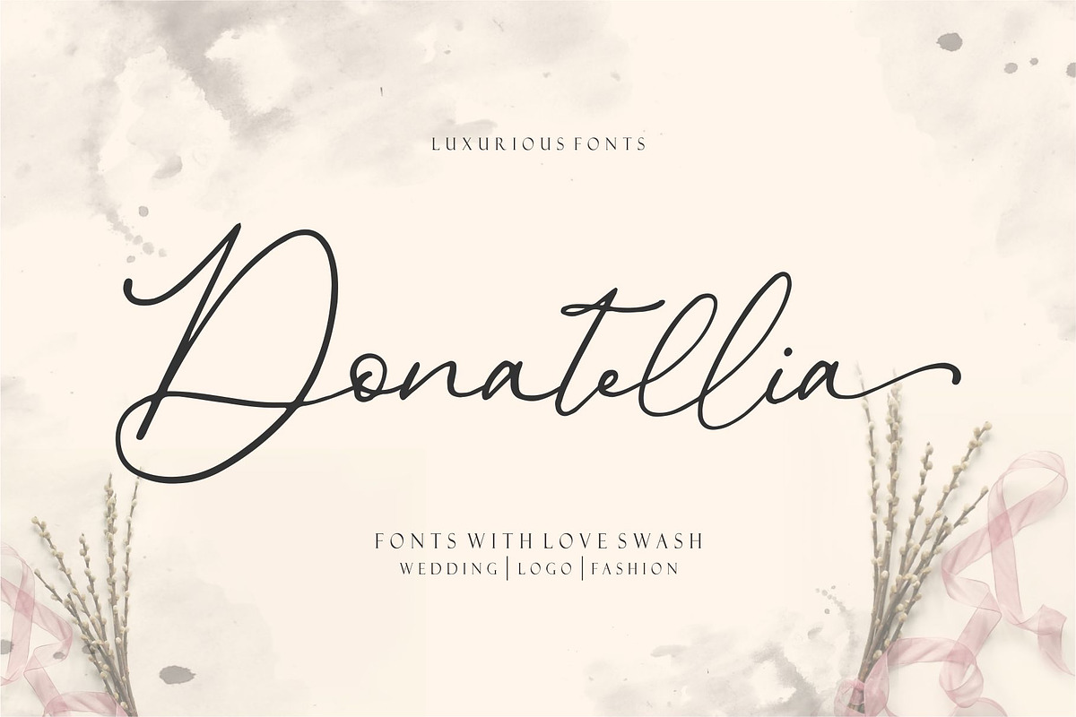 Donatellia Signature, a Script Font by Garisman Std (Photo 12 of 13)