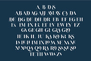 Niagara Font | Beautifull Serif Font, a Serif Font by WhymoreArt (Thumbnail 10 of 11)