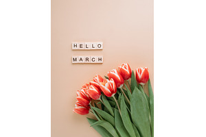 Hello march concept on peach fuzz, a Holiday Photo by Fascinadora