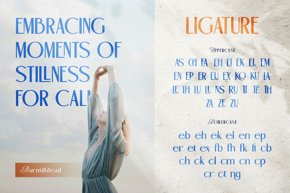 Beyna Elvani - Elegant Sans & Script, a Script Font by Burntilldead (Photo 7 of 12)