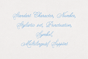 ScribeTales - Elegant Organic Script, a Script Font by VP Fonts (Thumbnail 18 of 21)