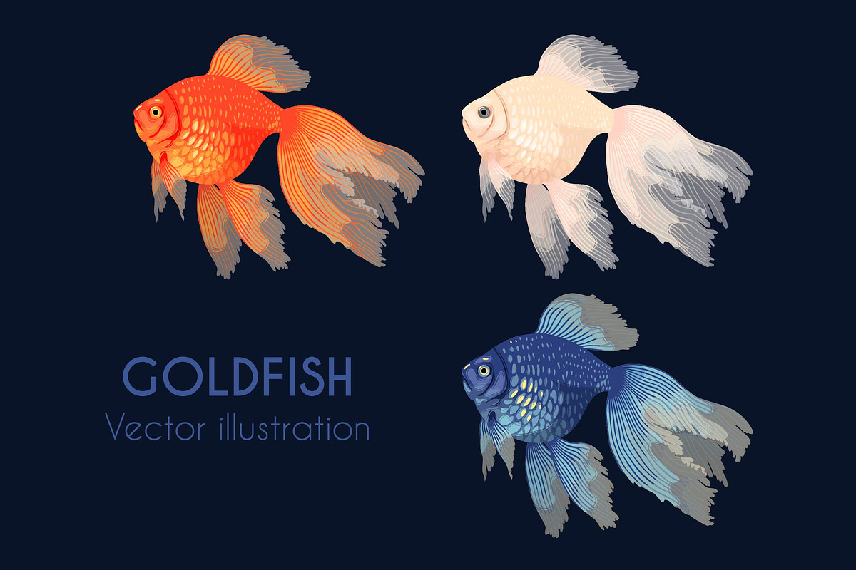 Patterns with Goldfish, a Pattern Graphic by GreyLilac