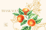 Tangerines Watercolor collection, a Decorative Illustration by SashaKondr (Thumbnail 14 of 14)