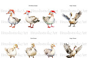 Watercolor Goose Clipart, Cute Geese, an Animal Illustration by BrushstrokeArtGB (Thumbnail 6 of 9)
