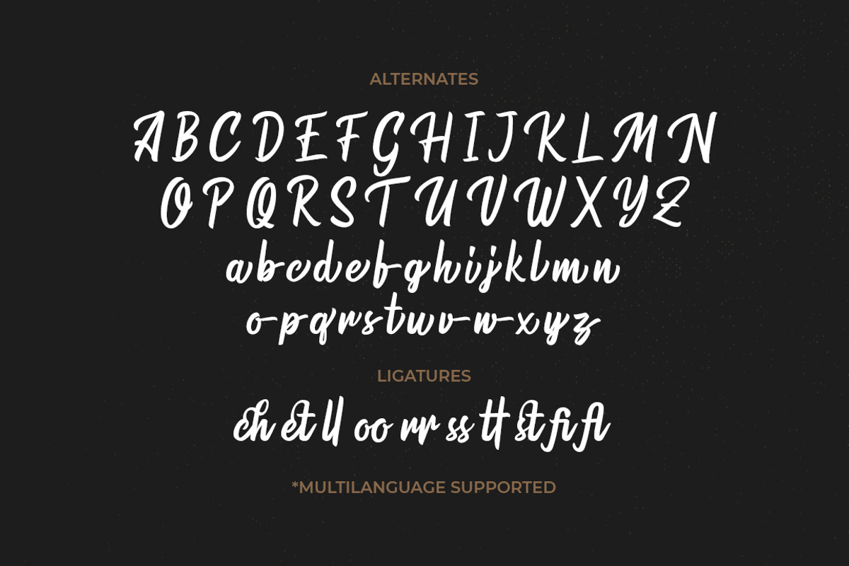 Warrington, a Script Font by Pollux of Geminorum (Photo 9 of 12)