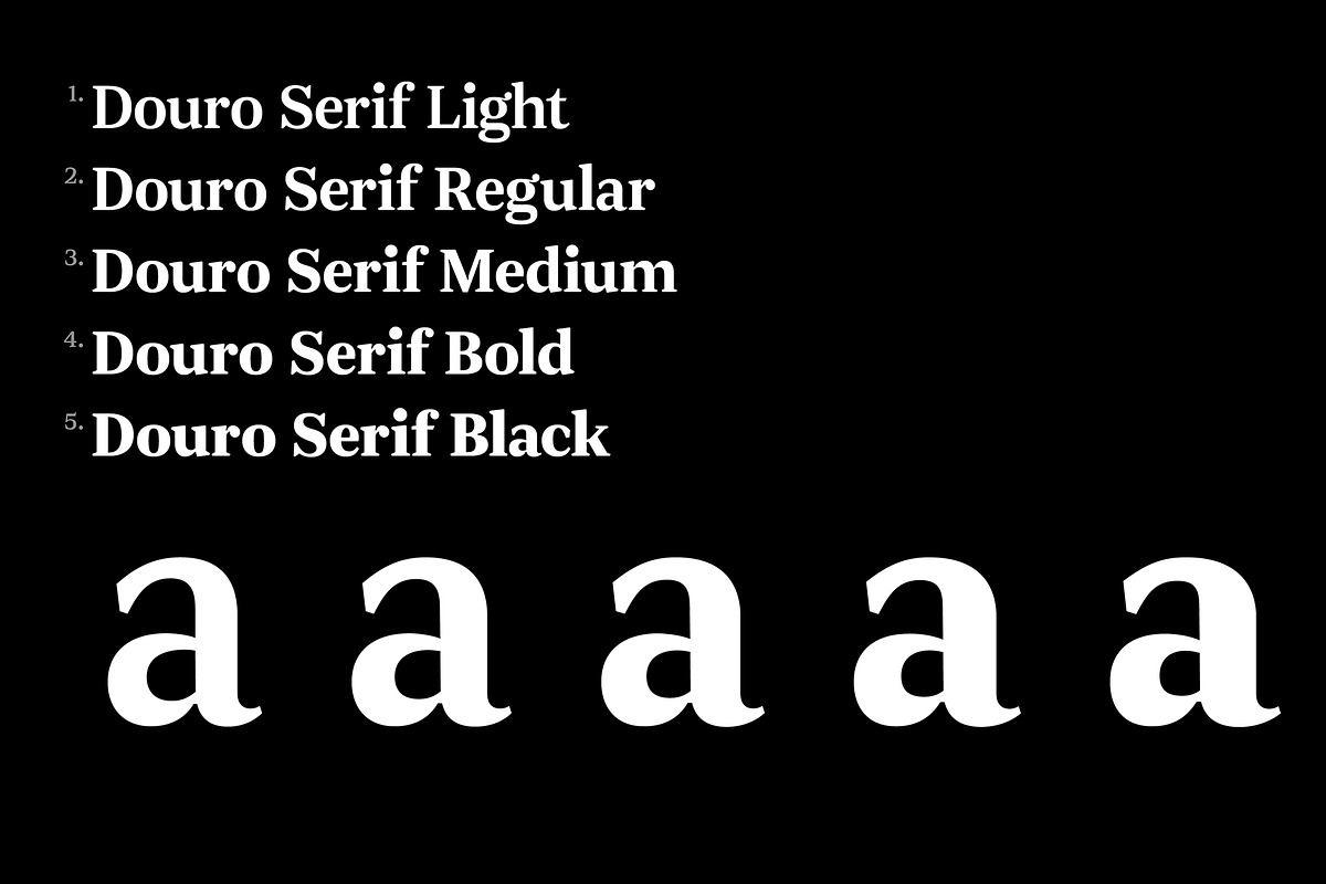 JT Douro Serif preview 3