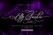 Elly Sandeo Wedding Cyrillic font, a Script Font by IraDvilyuk (Thumbnail 1 of 18)