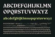 Aeda Rift, a Serif Font by ZP Fonts™ (Thumbnail 5 of 12)
