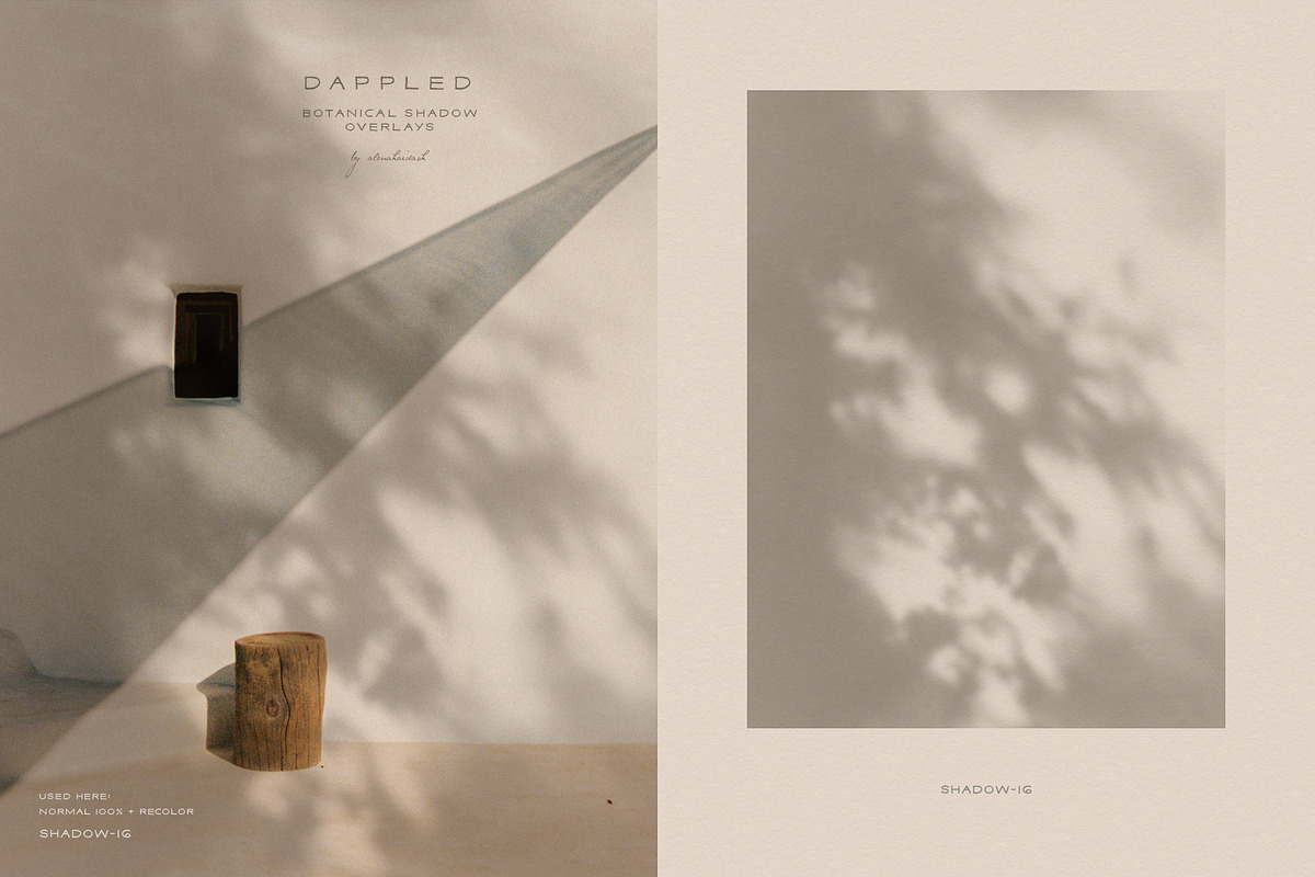 Dappled - Botanical Shadow Overlays, a Texture Graphic by alonahaidash (Photo 15 of 16)