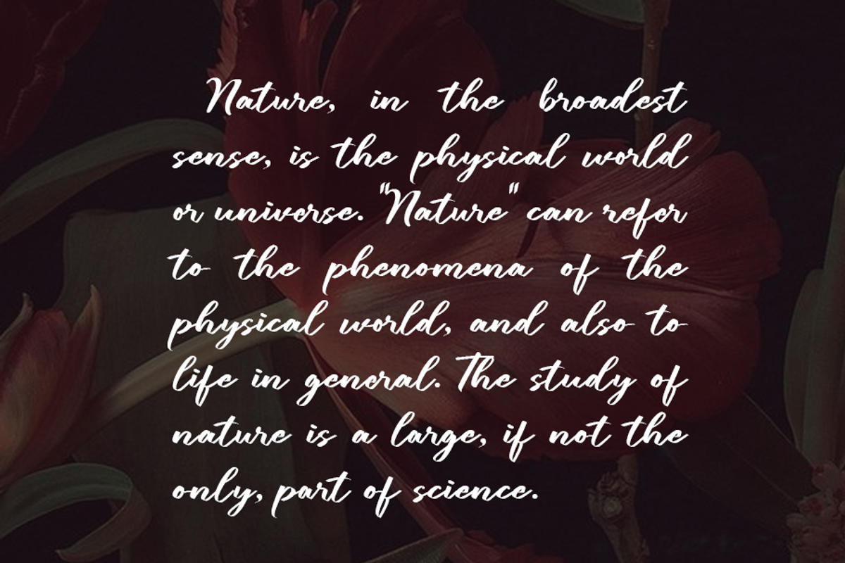 Lubirens, a Script Font by GlottaTypeface (Photo 3 of 8)