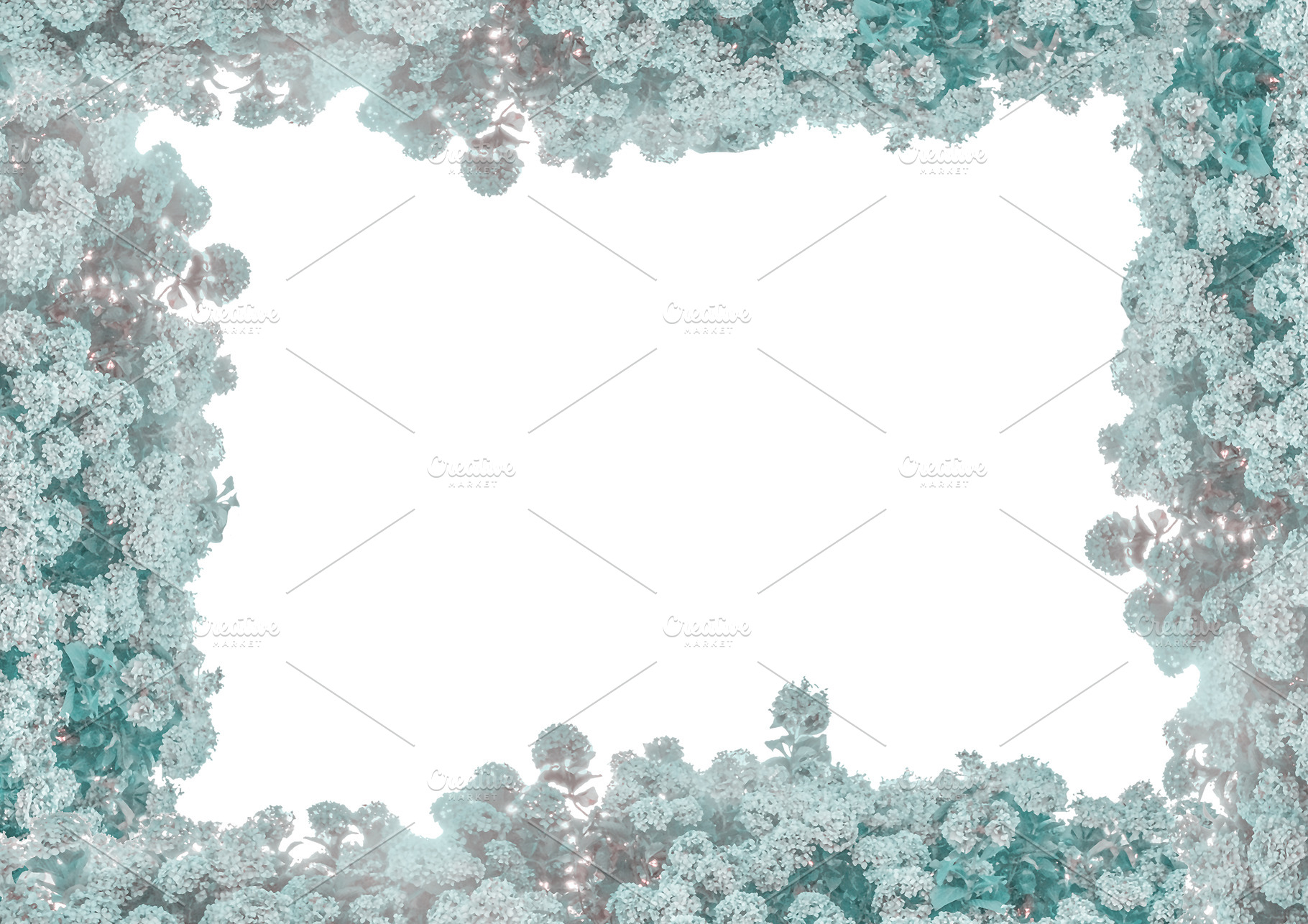 Blank background with bush of hydrangeas decorated borders, a Background Photo by DanFLCreativo