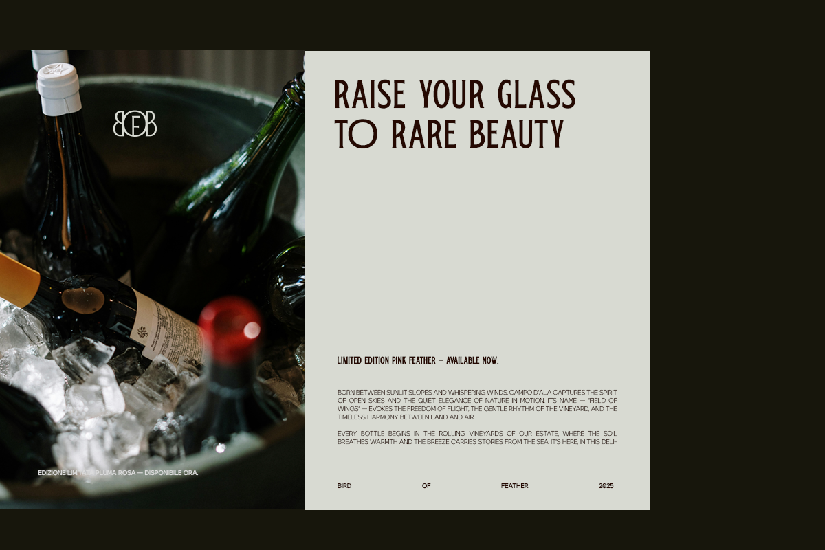 TRT Bird of Feather – Elegant Serif, a Font by truetype (Photo 7 of 15)
