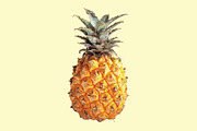 FRUITS (in vector), an Object Graphic by Orange Soda (Thumbnail 4 of 9)