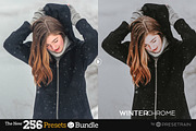 256 New Lightroom Preset Bundle, an Action Add-On by Presetrain Co. (Thumbnail 40 of 51)
