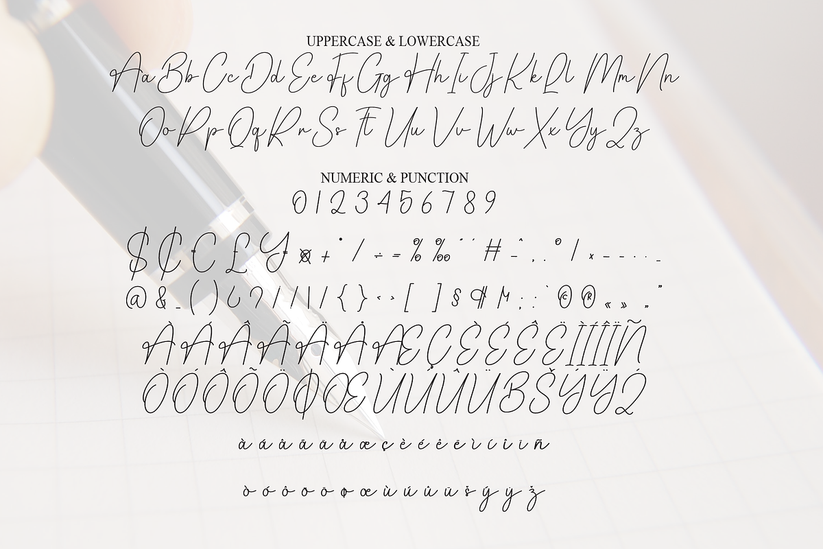 Sunday Signature | Script Font, a Handwritten Font by Scratchones (Photo 7 of 8)
