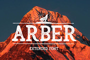 Arber Extended Vintage Font, a Font by Wild Ones