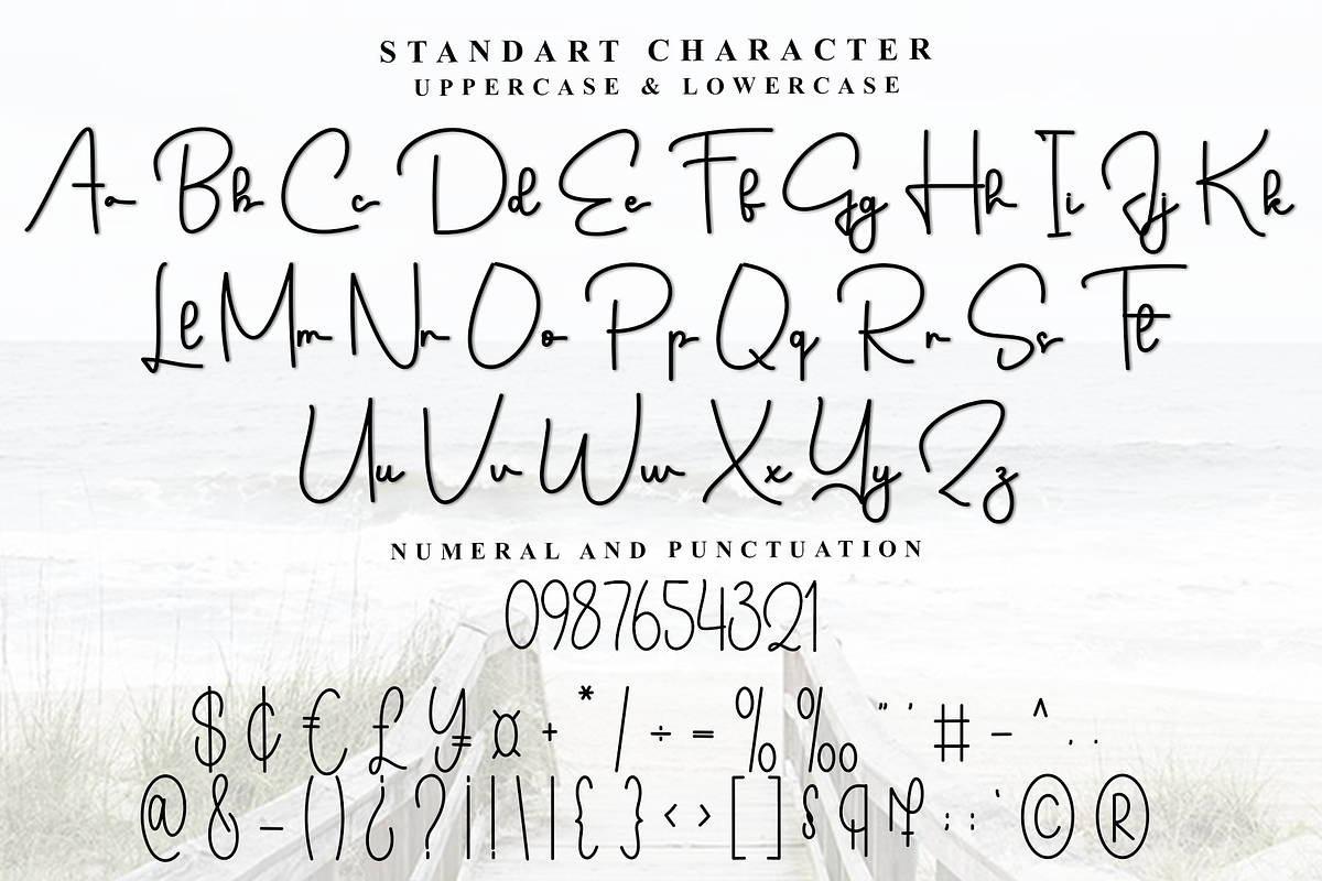 Snowtime Paradise, a Handwritten Font by FreshTypeINK (Photo 8 of 8)