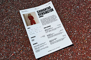 Modern One Page Resume Template, a Resume Template by Moscovita Studio (Thumbnail 6 of 8)
