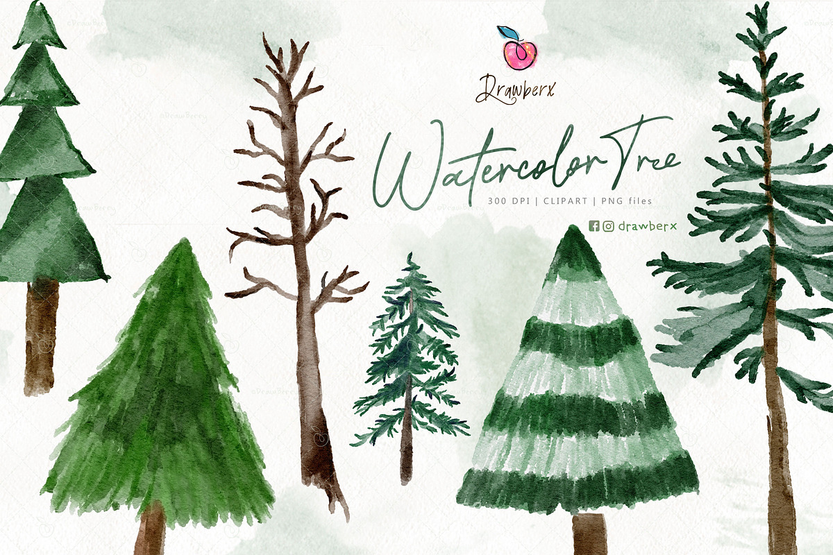 Pine Tree Clipart, Watercolor 109, an Illustration by Drawberx (Photo 1 of 9)