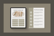 Clara Course Workbook Canva Template, a Templates & Theme by BoldNStudio (Thumbnail 8 of 16)