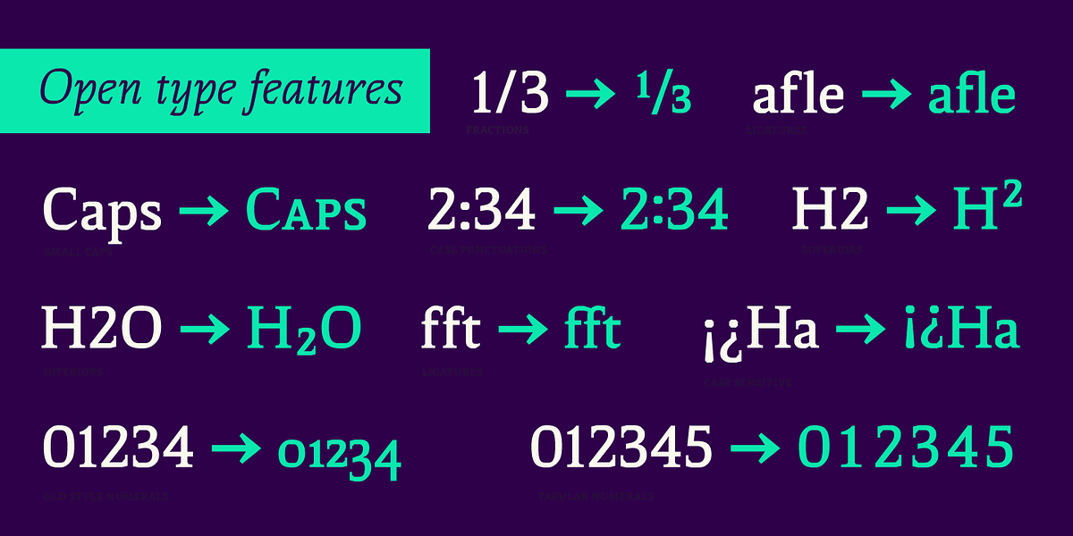 Thalweg, a Serif Font by Ani Dimitrova (Photo 14 of 15)