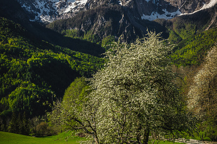 Stunning scenery with high mountains, a Nature Photo by Alpine Dreams