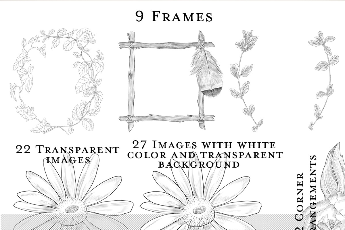 Soiree Botanical Graphic Set, a Food Illustration by Si Design Loft (Photo 3 of 6)