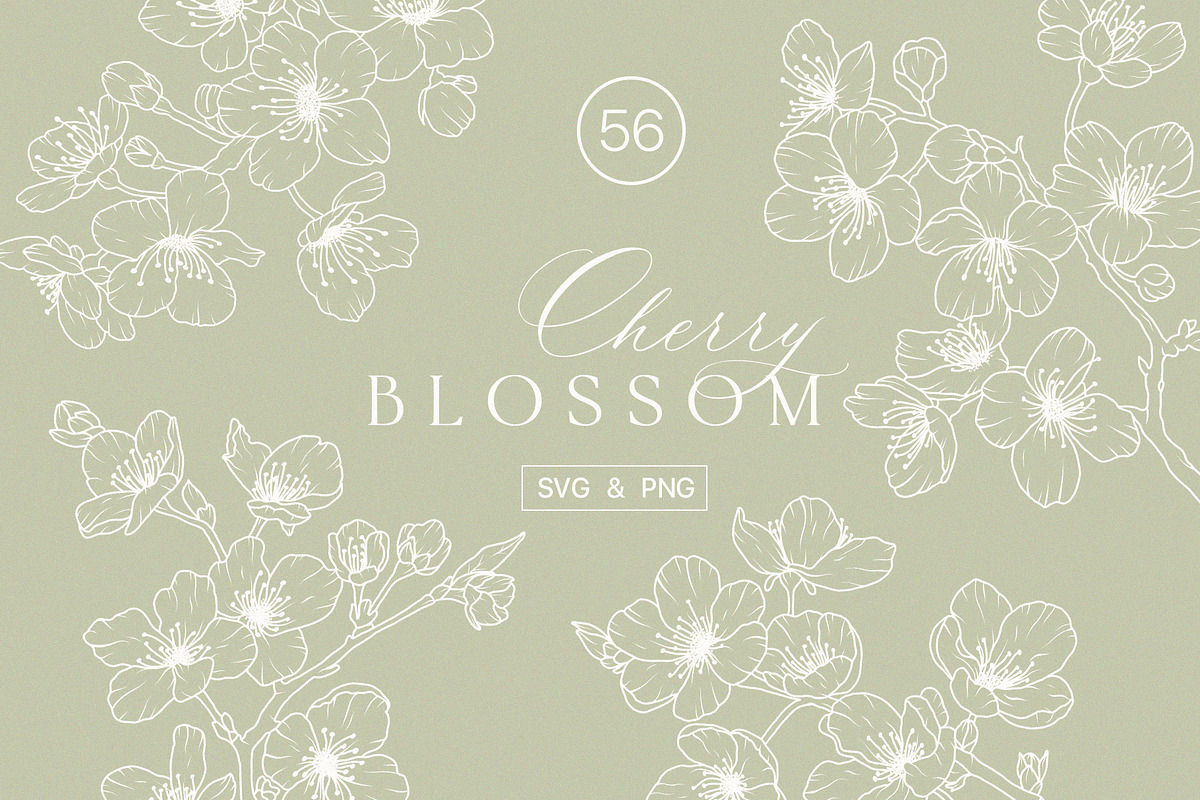 SAKURA - CHERRY blossom line art set, a Decorative Illustration by Madiwaso (Photo 1 of 8)