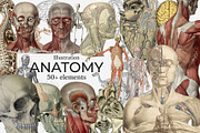 Bestsellers Heritage Collage Creator, an Object Graphic by SNIPESCIENTIST (Thumbnail 56 of 64)