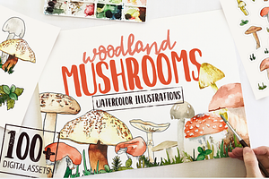 Woodland Mushroom Watercolors