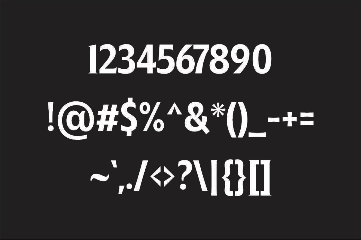 Ginfitanle, a Serif Font by studiobasic (Photo 8 of 11)