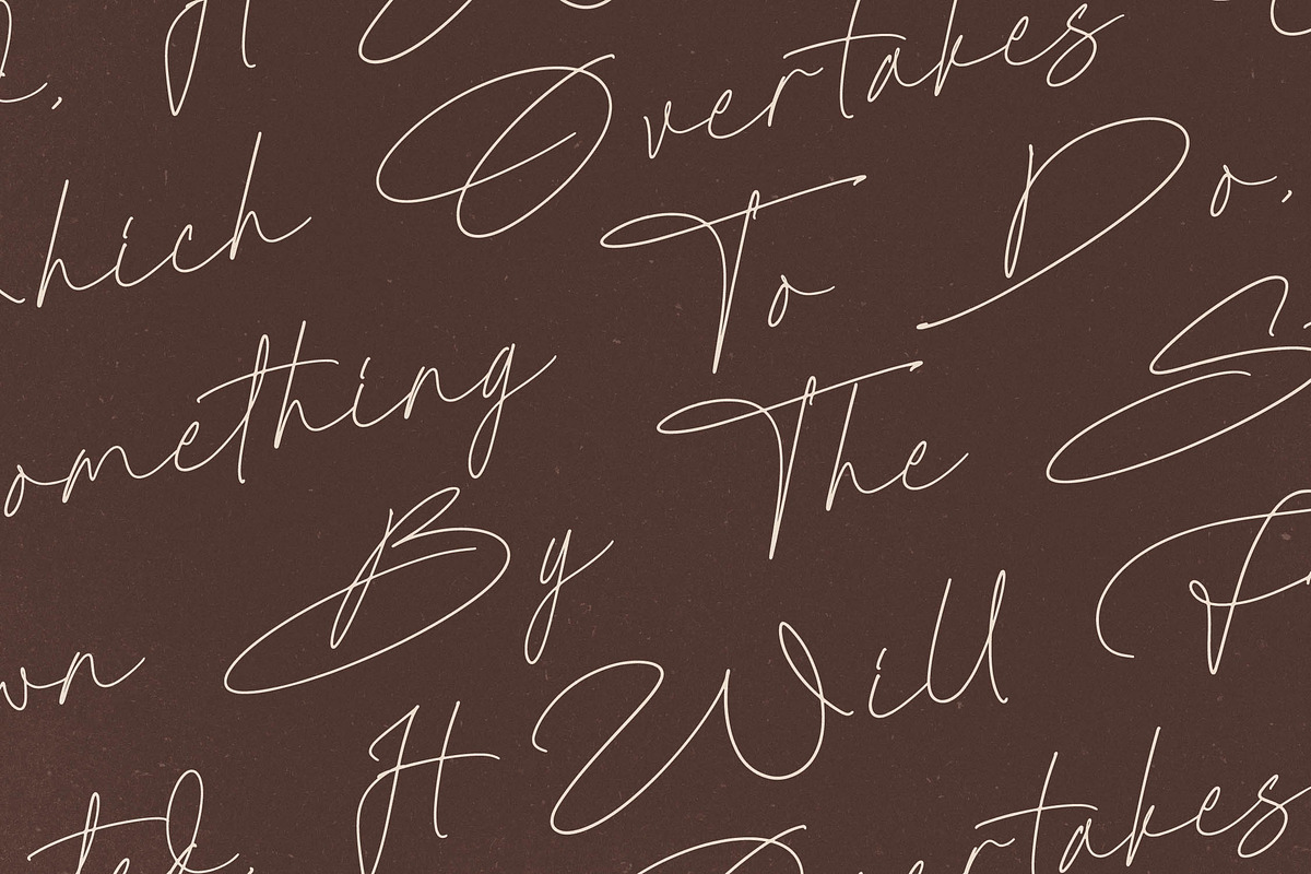 Radionte Heritage Monoline Signature, a Script Font by Letterena Studios Script (Photo 7 of 15)