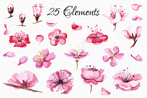 Watercolor Sakura Blossom Collection