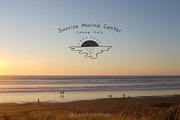 Logo Pack Volume 4. Beach & Sea, a Branding & Logo Template by Mint Air Studio (Thumbnail 19 of 21)