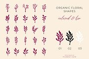 Floral Form Studies Shapes & Pattern, a Decorative Illustration by Pigment Café (Thumbnail 2 of 5)